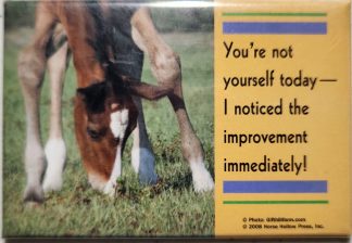 You're not yourself today, I noticed the improvement immediately... foal magnet