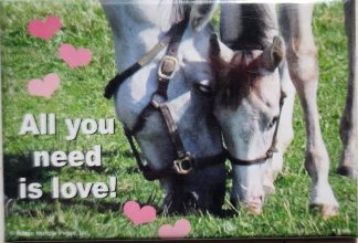 All you need is love! horse magnet