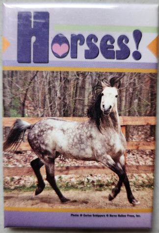Horses! Grey Horse Magnet