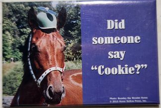 Did Someone Say "Cookie?" Horse Magnet
