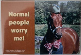 Normal people worry me! Horse Magnet