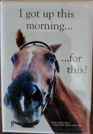 I got up this morning ..... for this? Horse Magnet