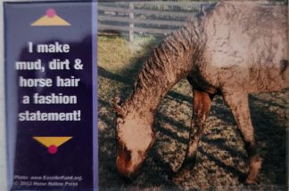 I make mud, dirt & horse hair a fashion statement! Magnet