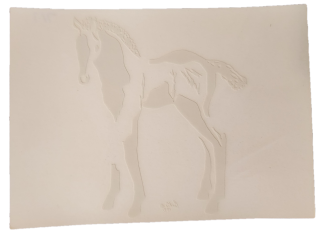 Horse Foal Vinyl Window Art