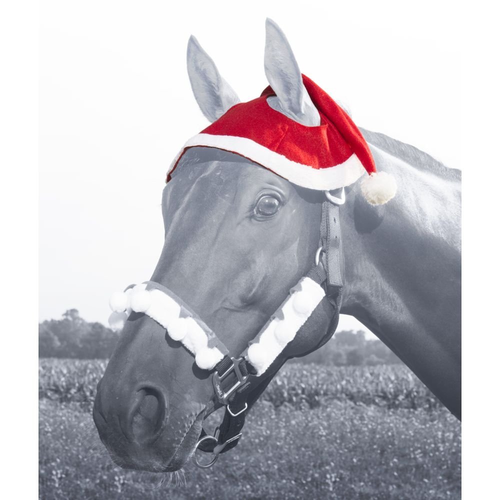 Horse Santa Hat