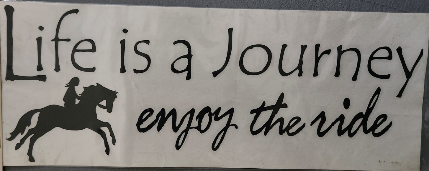 White or Black Life is a Journey Enjoy the Ride Strip Decal – Outdoor Safe