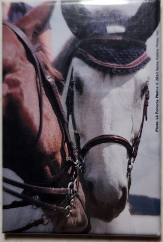 Two Bridled Horses Magnet