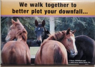We walk together to better plot your downfall.... Magnet