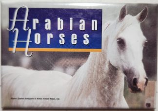 Gray Arabian Horses Magnet