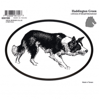 Haddington Green Black/White Border Collie Oval Decal
