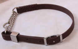 Beta Dog Collar
