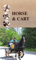DVD: Horse and Cart