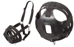 Miniature horse combination web halter grazing muzzle.  This muzzle helps control overeating in miniature horses.