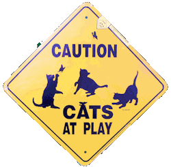 Caution Cats at Play Sign