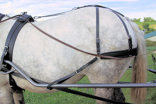 Comfy Fit Harness Breeching