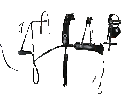 Comfy Fit Sport Harness