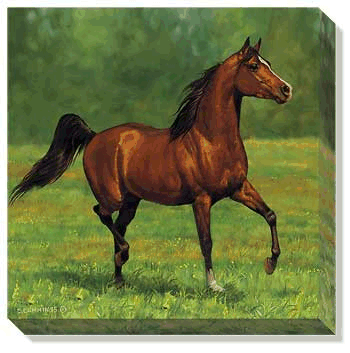 Arabian Bay wrapped canvas art