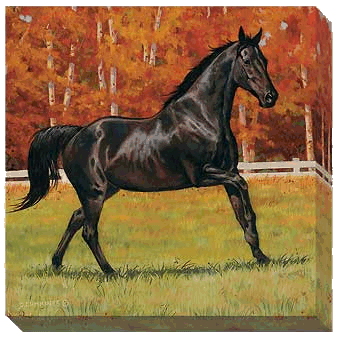 Thoroughbred Black wrapped canvas art