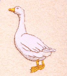 Domestic Goose