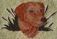 Golden Labrador Dog Design