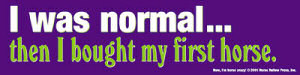 I was normal... Bumper Sticker
