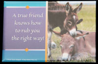 A True Friend magnet