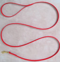 4' Beta Dog Leash