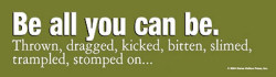 Be all you can be Bumper Sticker