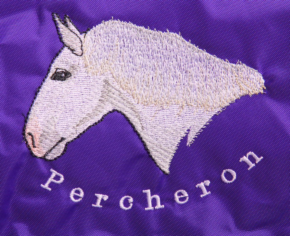Gray Percheron Head