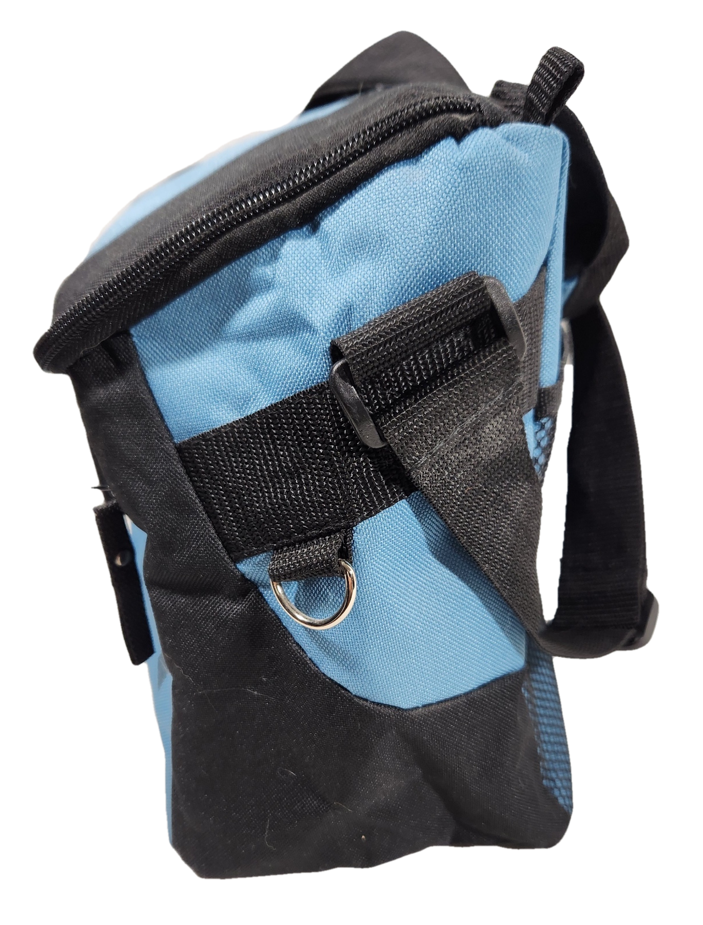 AWST International Lila Galloping Horse 12 Pack Cooler