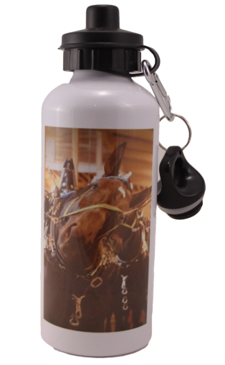 Percheron Head Aluminum Water Bottle