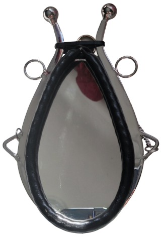 Horse Collar Mirror